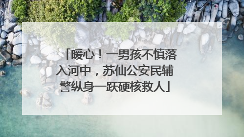 暖心！一男孩不慎落入河中，苏仙公安民辅警纵身一跃硬核救人