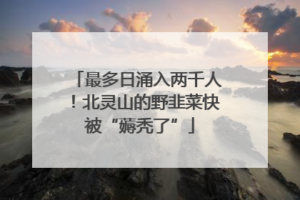 最多日涌入两千人！北灵山的野韭菜快被“薅秃了”