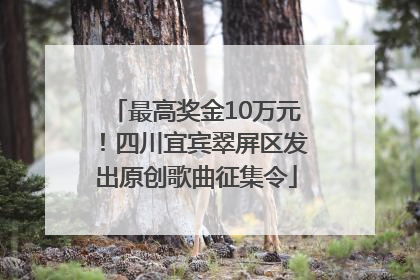 最高奖金10万元！四川宜宾翠屏区发出原创歌曲征集令