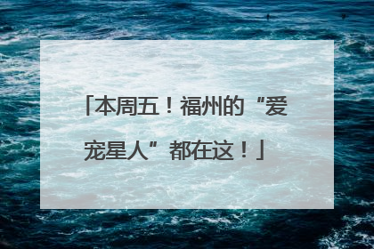 本周五！福州的“爱宠星人”都在这！