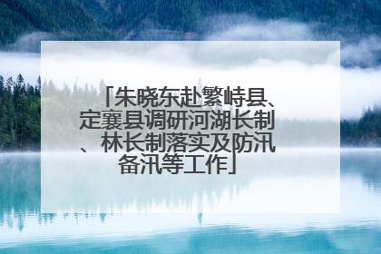 朱晓东赴繁峙县、定襄县调研河湖长制、林长制落实及防汛备汛等工作
