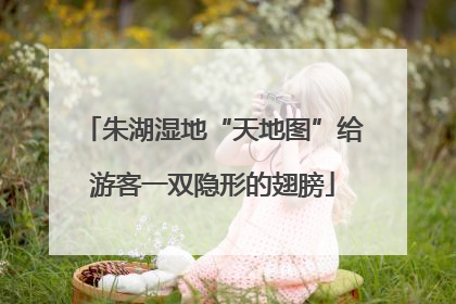 朱湖湿地“天地图”给游客一双隐形的翅膀