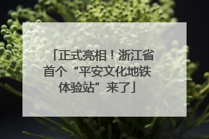 正式亮相！浙江省首个“平安文化地铁体验站”来了