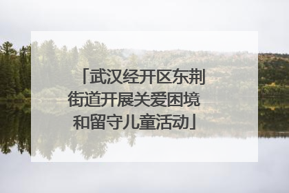 武汉经开区东荆街道开展关爱困境和留守儿童活动