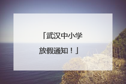 武汉中小学放假通知！