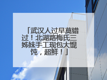 武汉人过早莫错过！北湖路梅氏三姊妹手工现包大馄饨，超鲜！