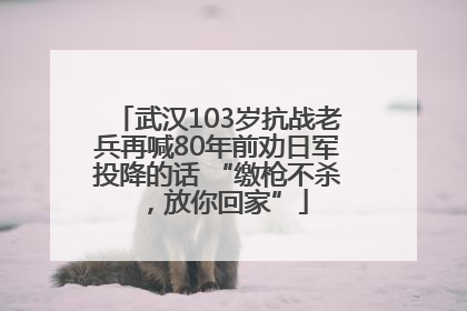武汉103岁抗战老兵再喊80年前劝日军投降的话 “缴枪不杀，放你回家”