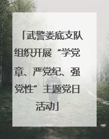 武警娄底支队组织开展“学党章、严党纪、强党性”主题党日活动