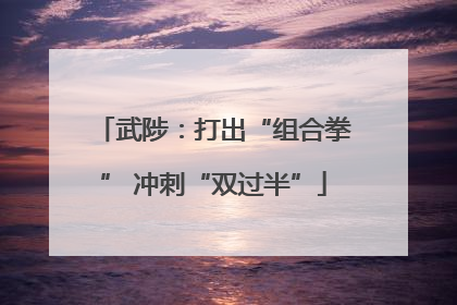武陟：打出“组合拳” 冲刺“双过半”