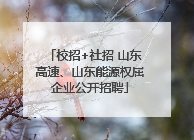 校招+社招 山东高速、山东能源权属企业公开招聘