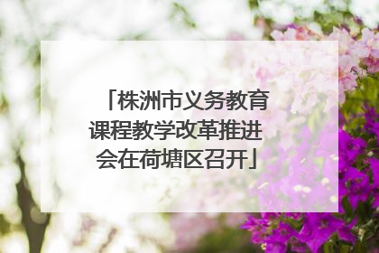 株洲市义务教育课程教学改革推进会在荷塘区召开
