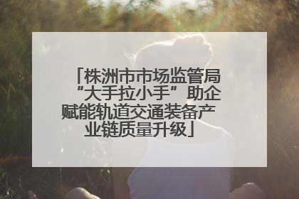 株洲市市场监管局“大手拉小手”助企赋能轨道交通装备产业链质量升级