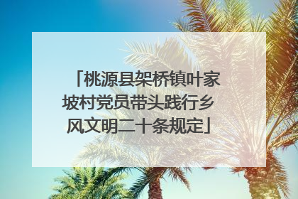 桃源县架桥镇叶家坡村党员带头践行乡风文明二十条规定