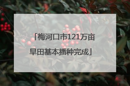 梅河口市121万亩旱田基本播种完成