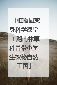 植物园变身科学课堂！湖南林草科普带小学生探秘自然王国