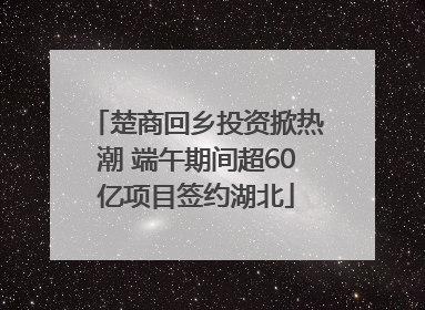 楚商回乡投资掀热潮 端午期间超60亿项目签约湖北