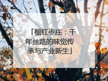 榴红枣庄：千年丝路的味觉传承与产业新生