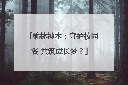 榆林神木：守护校园餐 共筑成长梦？