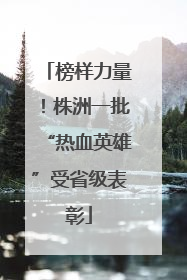 榜样力量！株洲一批“热血英雄”受省级表彰