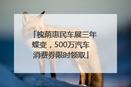 槐荫惠民车展三年蝶变，500万汽车消费券限时领取