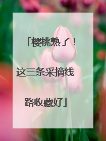 樱桃熟了！这三条采摘线路收藏好