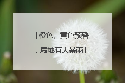 橙色、黄色预警，局地有大暴雨