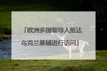 欧洲多国领导人抵达乌克兰基辅进行访问
