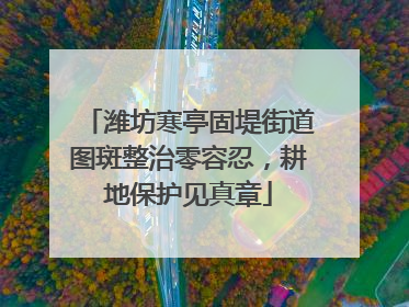 潍坊寒亭固堤街道图斑整治零容忍，耕地保护见真章