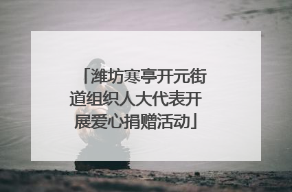 潍坊寒亭开元街道组织人大代表开展爱心捐赠活动