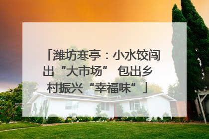 潍坊寒亭：小水饺闯出“大市场” 包出乡村振兴“幸福味”