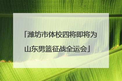 潍坊市体校四将即将为山东男篮征战全运会