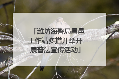 潍坊海警局昌邑工作站多措并举开展普法宣传活动