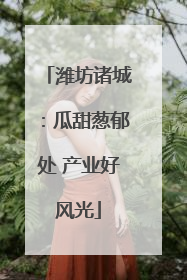潍坊诸城：瓜甜葱郁处 产业好风光