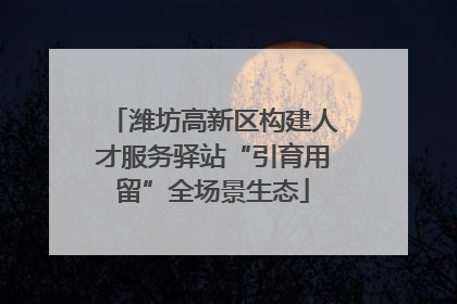 潍坊高新区构建人才服务驿站“引育用留”全场景生态