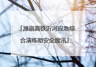 潍宿高铁沂河应急综合演练助安全度汛