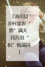 潢川县：乡村果农“愁”满天  民兵出“机”情满园