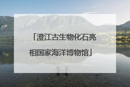 澄江古生物化石亮相国家海洋博物馆