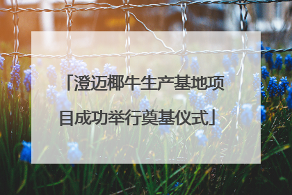 澄迈椰牛生产基地项目成功举行奠基仪式