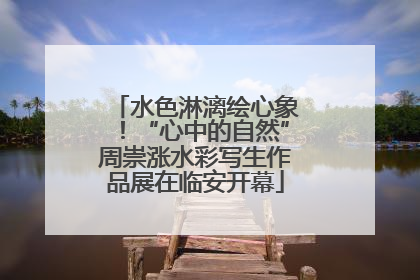 水色淋漓绘心象！“心中的自然”周崇涨水彩写生作品展在临安开幕