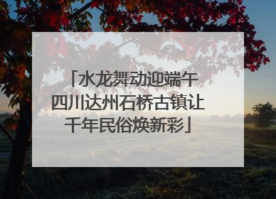 水龙舞动迎端午 四川达州石桥古镇让千年民俗焕新彩