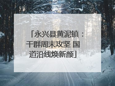 永兴县黄泥镇：干群周末攻坚 国道沿线焕新颜