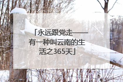 永远跟党走——有一种叫云南的生活之365天