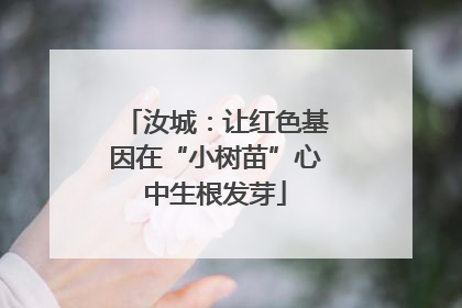 汝城：让红色基因在“小树苗”心中生根发芽