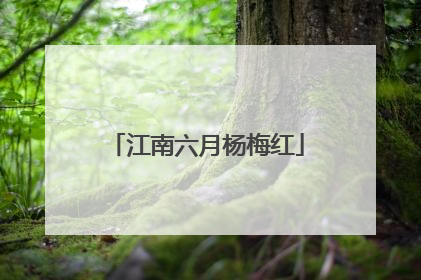 江南六月杨梅红