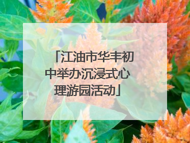 江油市华丰初中举办沉浸式心理游园活动