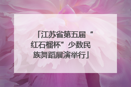 江苏省第五届“红石榴杯”少数民族舞蹈展演举行