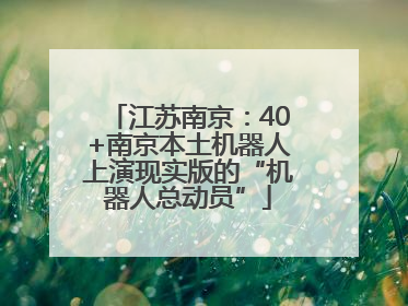 江苏南京：40+南京本土机器人上演现实版的“机器人总动员”