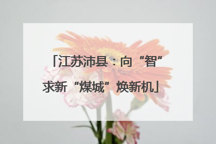 江苏沛县：向“智”求新“煤城”焕新机