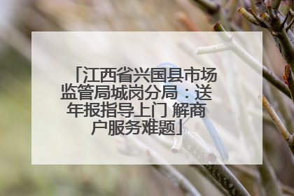 江西省兴国县市场监管局城岗分局：送年报指导上门 解商户服务难题