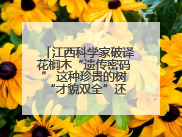 江西科学家破译花榈木“遗传密码” 这种珍贵的树 “才貌双全”还能抗“EMO”